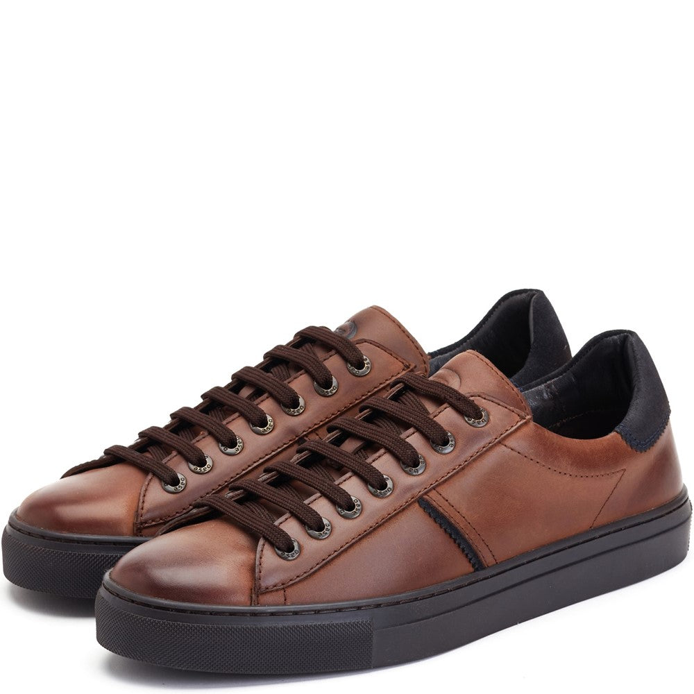 Beck Leather Trainers Brown