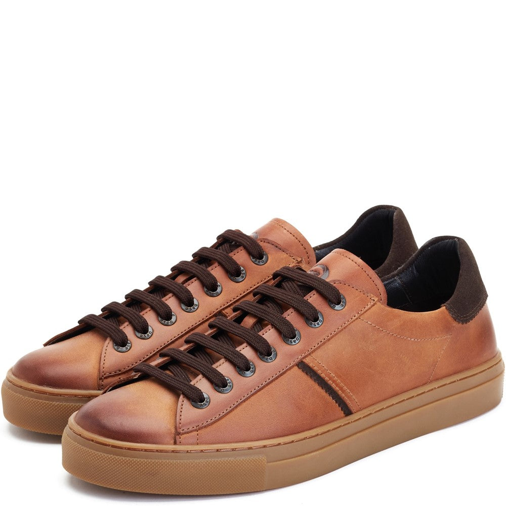 Beck Leather Trainers Tan