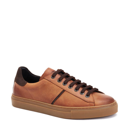 Beck Leather Trainers