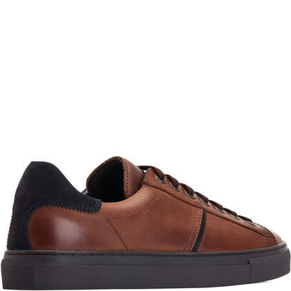 Beck Leather Trainers Brown