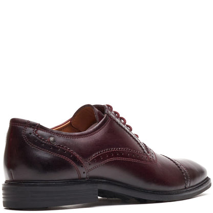 Ascot Leather Oxford Brogue Shoes Bordo