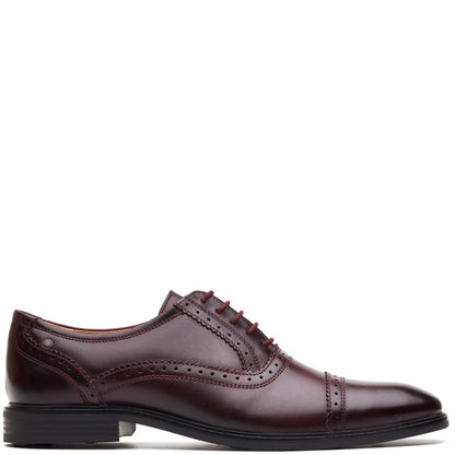 Ascot Leather Oxford Brogue Shoes Bordo