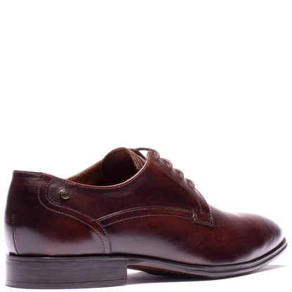 Vance Lace Up Shoes Brown